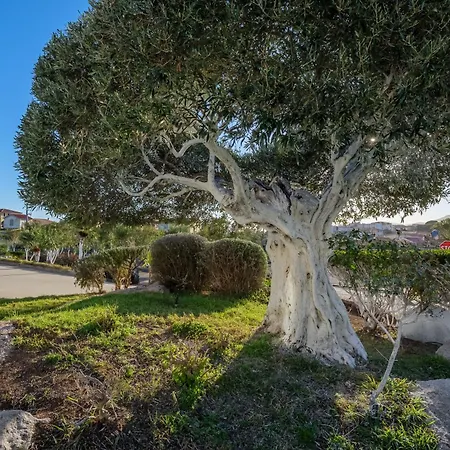 Apartament Marconi 9