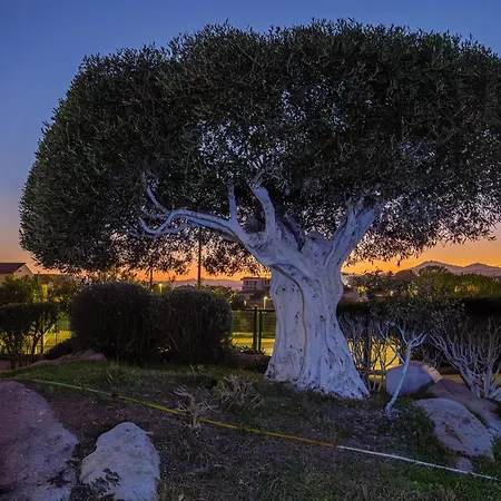 Marconi 9 Apartamento