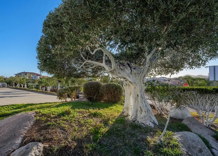 Appartement Marconi 9