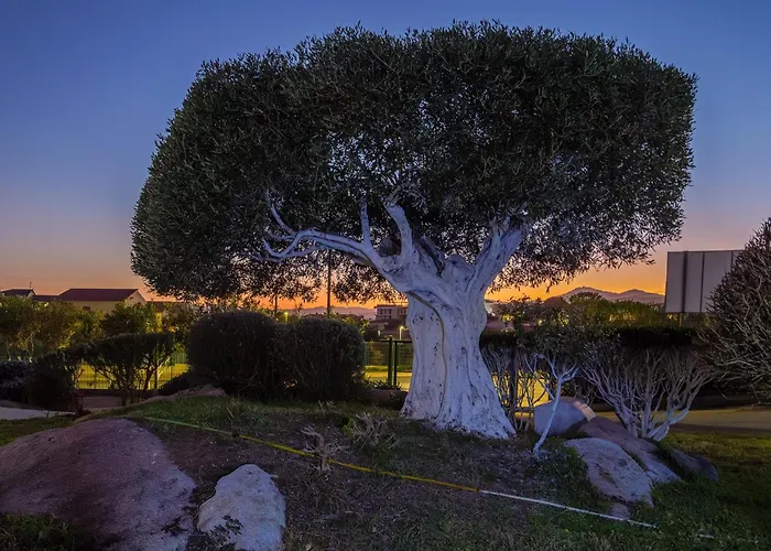 Marconi 9 Apartamento